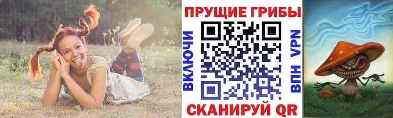 Купить закладки  Люберцы  Галлюциногенные грибы Psilocybe 